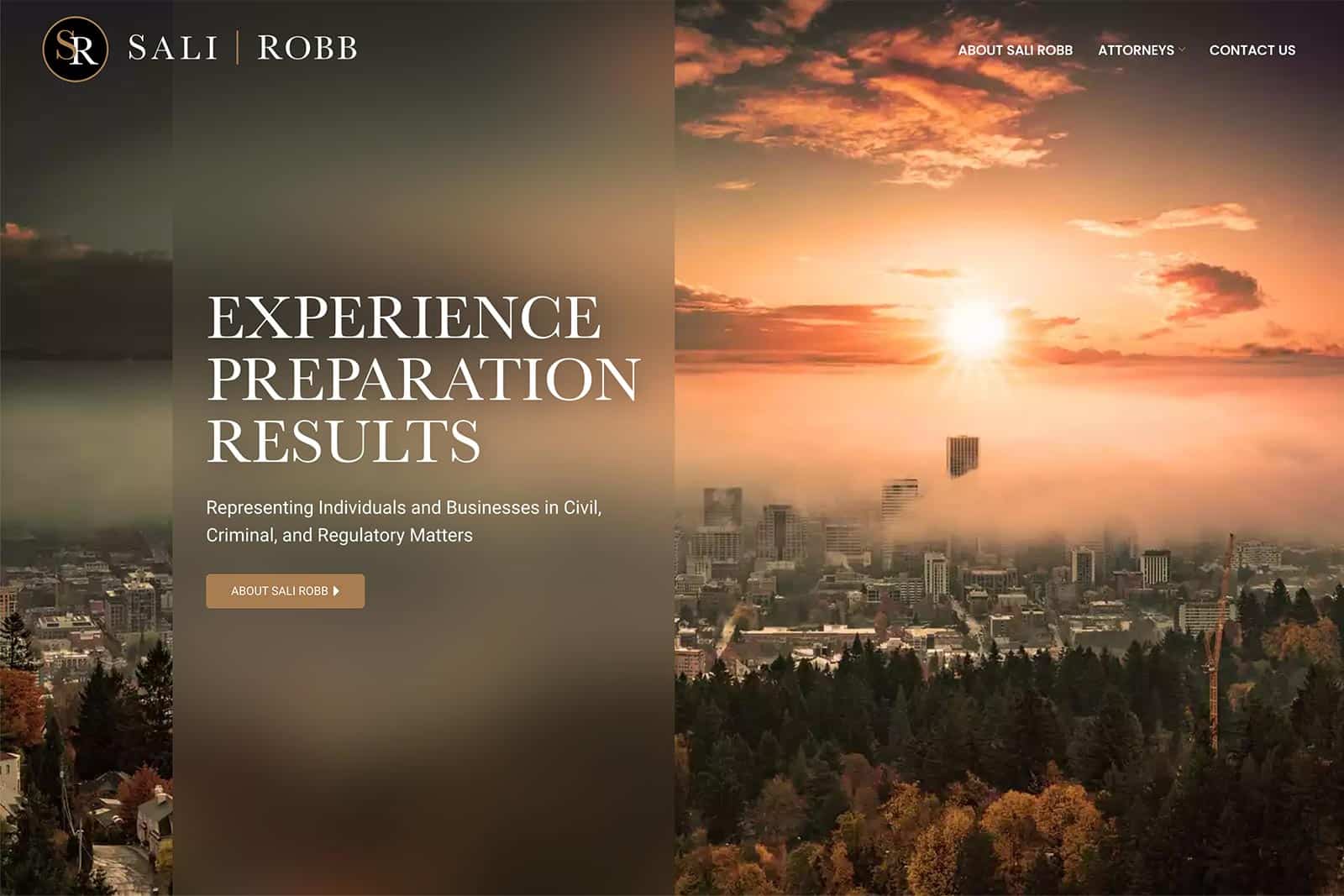 Screenshot of Sali Robb Website - Example of Portland, OR Small Law Firm Website Design - Home Page